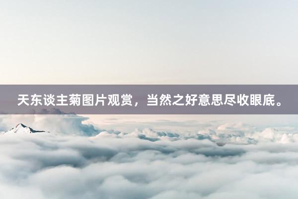 天东谈主菊图片观赏,当然之好意思尽收眼底。