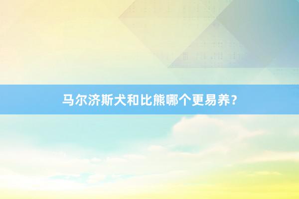 马尔济斯犬和比熊哪个更易养？