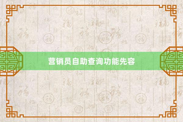 营销员自助查询功能先容